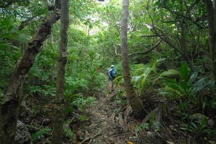 Huvalu Forest Conservation Area
